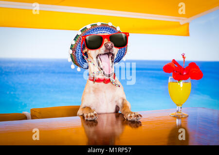 Paio di bevuto cani con occhiali da sole in estate vacanze vacanze con cocktail drink presso il bar della spiaggia club Foto Stock