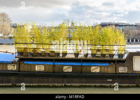 Houseboat ancorata su un fiume, in un ambiente urbano, con una terrazza in legno sul ponte superiore, su cui una siepe di piante in vaso è usato come un privac Foto Stock