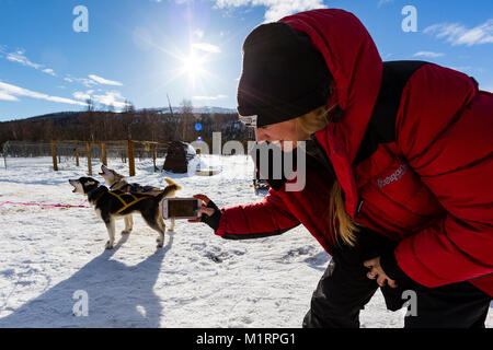 Overbygd, Norvegia. Annika Summerson fotografare lo sleddog cani nella soleggiata condizioni invernali Foto Stock