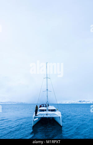 La Norvegia. Catamarano in mare calmo. Foto Stock