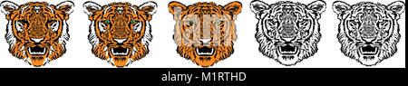 Testa di Tiger con zanne. Schizzo per tattoo, bianco e nero, isolato, vettore Illustrazione Vettoriale