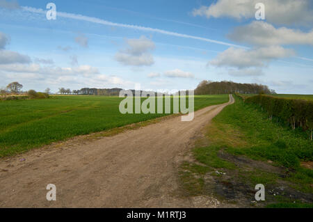 Vecchia strada drovers, o carrello via, la East Yorkshire Wolds, Inghilterra, Regno Unito. Foto Stock