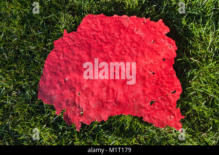 Rosso brillante vernice pelata su erba verde dello sfondo. Foto Stock