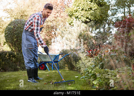 Giardiniere a rastrellare foglie in giardino Foto Stock