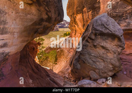 Con lo zaino in spalla rotta attraverso una fessura di una pinna entro il Salt Creek Canyon nel distretto di aghi del Parco Nazionale di Canyonlands, Utah, Stati Uniti d'America Foto Stock