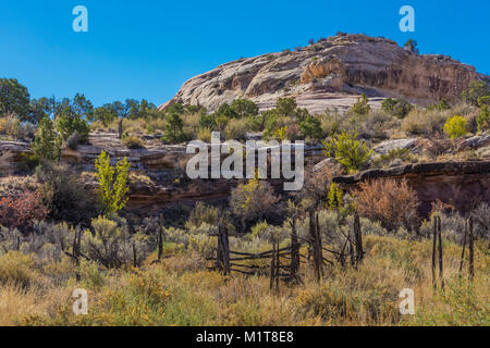 Vecchio recinto in legno vicino alla storica Kirk's Cabin entro il Salt Creek Canyon nel distretto di aghi del Parco Nazionale di Canyonlands, Utah, Stati Uniti d'America Foto Stock