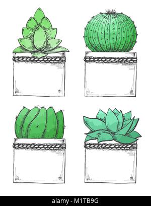 Schizzo di succulente in vasi. Acquerello stilizzato. Illustrazione Vettoriale Illustrazione Vettoriale