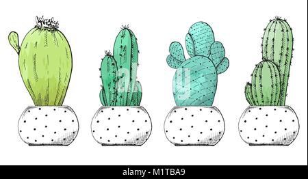 Schizzo di succulente in vasi. Acquerello stilizzato. Illustrazione Vettoriale. Illustrazione Vettoriale