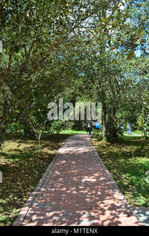 CUNDINAMARCA, Colombia - 24 gennaio 2014: Vista dentro il Parco Nazionale di Guatavita. Foto Stock