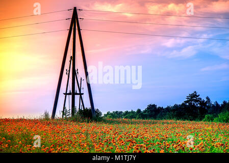 Estate scena di elettricità in legno pole, linee di alimentazione e papavero rosso fiorisce in un colorato astratto e vivace campo di fiore, un prato pieno di fioritura Foto Stock