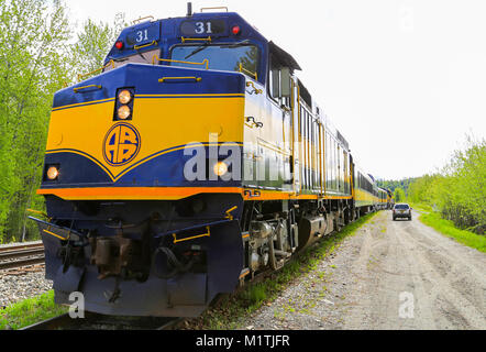 Talkeetna, Alaska, Stati Uniti d'America - 19 Maggio 2017: Un Alaska Railroad Treno in attesa di un'azienda via vicino a Talkeetna Depot. Foto Stock