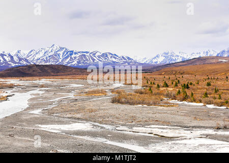 Viewpoint a Savage Riverbed nel Parco Nazionale di Denali in Alaska Usa con moutains in background. Foto Stock