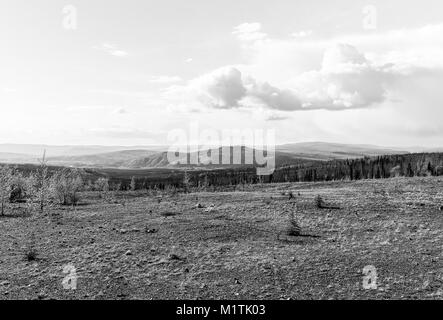 Il deserto di Alaska tra Fairbanks e Coldfoot in monocromatico. Foto Stock