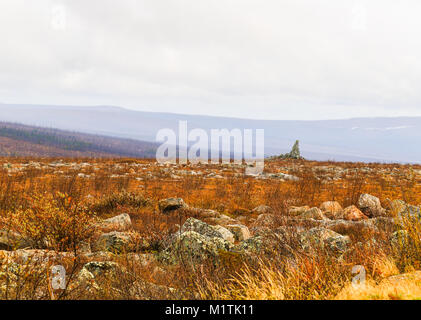 La Roccia del dito nella tundra artica in Alaska tra Fairbanks e Coldfoot Near Dalton Highway. Foto Stock