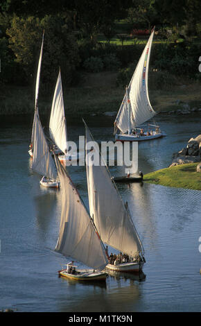L'Egitto. Aswan. Fiume Nilo. Feluche (tradizionale le navi a vela). Foto Stock