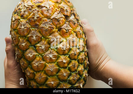 Childs mano azienda grande ananas maturo. Vista da sopra. Foto Stock