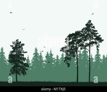 Illustrazione Vettoriale di conifere e pineta con uccelli in volo Illustrazione Vettoriale