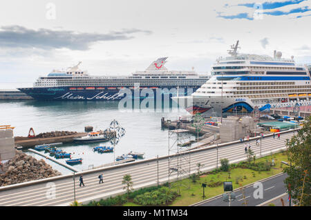 Crociera nel Porto di Funchal, Madeira - Giovanni Gollop Foto Stock