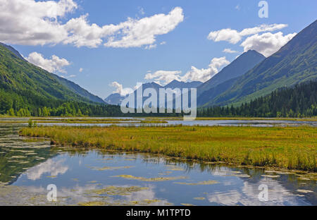 Tern lago sulla Penisola di Kenai in Alaska Foto Stock