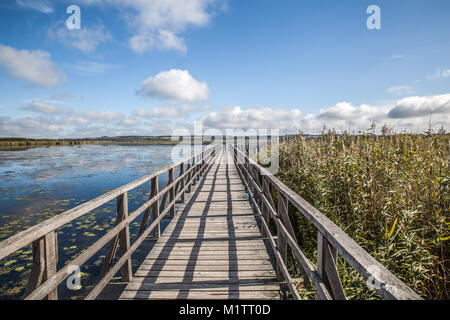 Lago Federsee in Bad Buchau Germania Foto Stock