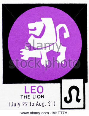 Il segno dello zodiaco - Leo Lion Foto Stock