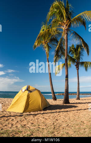 Tenda gialla sotto palme di cocco sull'isola di Kauai Foto Stock