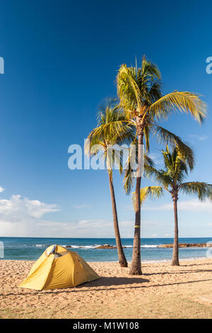Tenda gialla sotto palme di cocco sull'isola di Kauai Foto Stock