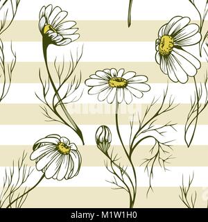 La Camomilla fiori seamlees vettore pattern texture a base di erbe su strisce gialle sullo sfondo Illustrazione Vettoriale