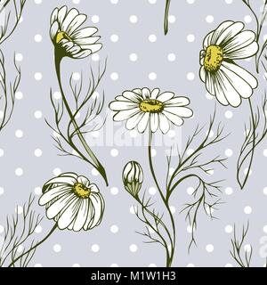 La Camomilla fiori seamlees vettore pattern texture a base di erbe onblue polka dots background Illustrazione Vettoriale