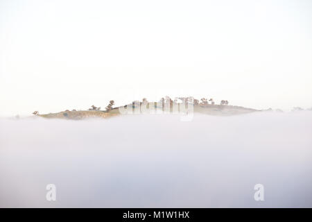 La mattina presto la nebbia riempie la valle di avon vicino toodyay western australia come una collina con alberi sopra esposta Foto Stock