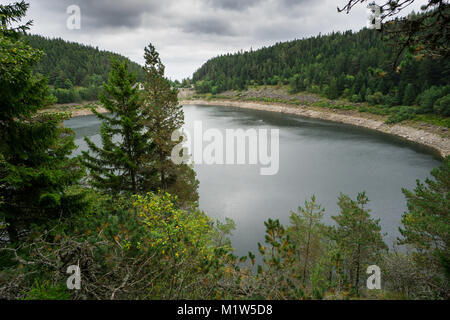 Francia - Lago Nero, Lac Noir vicino alla route de cretes famosa strada di montagna attraverso montagne Vosges Foto Stock