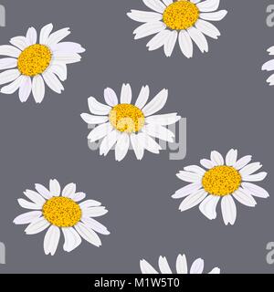 Fiori a margherita. Headds. Modello senza giunture. Illustrazione Vettoriale. Design per il tè alle erbe, prodotti sanitari e cosmetici naturali, profumeria, oli essenziali Illustrazione Vettoriale