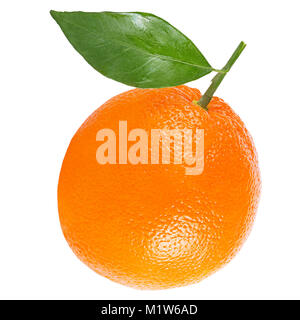 Isolato citrius frutti. Uno tutta arancione con foglie isolato su sfondo bianco con percorso di clipping pacchetto come elemento di design. Foto Stock