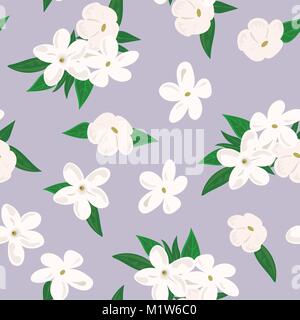 Vector seamless pattern con fiori di gelsomino. su sfondo viola Illustrazione Vettoriale