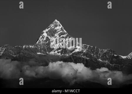 Il Machapuchare in Nepal. La fotografia in bianco e nero. Foto Stock