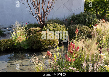 La BBC Radio 2 Jeremy Vine Texture giardino, RHS Chelsea Flower Show 2017 Foto Stock