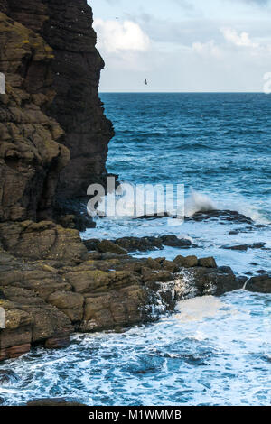 Aberdeenshire, Scotland, Regno Unito. Venti forti e creare un picco nel mare del Nord lungo la costa nord-est della Scozia, con grandi onde sbattimento contro scogliere rocciose Foto Stock