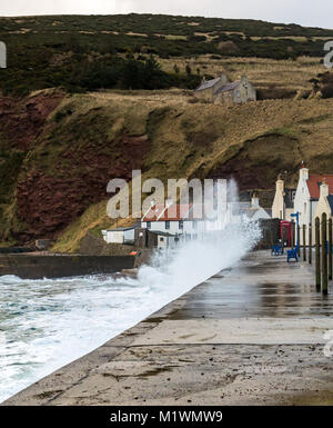 Pennan, Aberdeenshire, Scozia, Regno Unito, 2 febbraio 2018. I forti venti creano un'impennata nel Mare del Nord lungo la costa nord-orientale della Scozia, con grandi onde che spruzzano contro la passeggiata nel pittoresco villaggio, famoso per essere una location cinematografica per il film 'Local Hero' Foto Stock