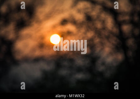 Xi'an, Cina . 3 febbraio 2018Sunrise a Louguantai Scenic Area in Zhongnan Montagna in Xi'an, Cina nord-occidentale della provincia di Shaanxi, febbraio 3rd, 2018 Credit: SIPA Asia/ZUMA filo/Alamy Live News Foto Stock