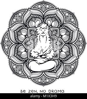 Carino meditando pelliccia llama. Vettore illustrazione del fumetto su sfondo bianco con la scritta motivazionale. Essere zen e no drama. Illustrazione Vettoriale