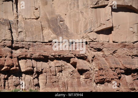 Arenaria dicco clastico iniettato dal Permiano Coconino arenaria nella sottostante eremita Shale, Bright Angel Trail, il Parco Nazionale del Grand Canyon Foto Stock