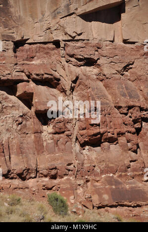 Arenaria dicco clastico iniettato dal Permiano Coconino arenaria nella sottostante eremita Shale, Bright Angel Trail, il Parco Nazionale del Grand Canyon Foto Stock