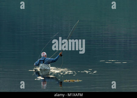 Pescatore, Waist Deep in molto calma acqua mentre fly-colata. Foto Stock