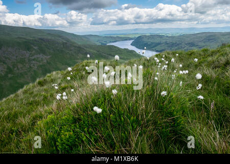 Hawes acqua dalla rupe ruvida, Lake District, Cumbria, Inghilterra Foto Stock