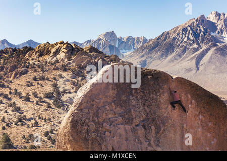 Uomo rock si arrampica su un enorme masso di granito nel latticello area del Vescovo, in California con la Sierra Nevada dietro Foto Stock