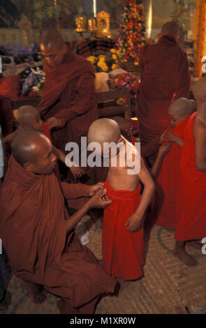 Myanmar (Birmania). Mandalay. Shin Pyu festival. Apertura di giovani ragazzi come novizio nell'ordine dei monaci. Foto Stock