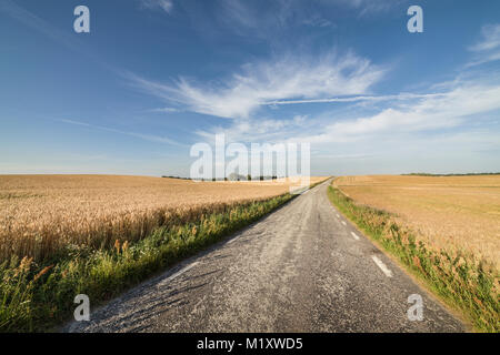 Agriturismo e campo di grano nel vasto paesaggio. Skane, Svezia e Scandinavia. Foto Stock