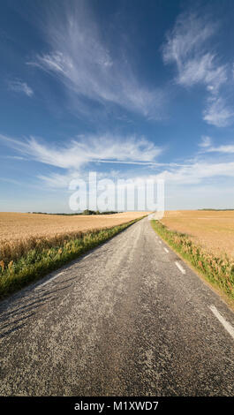 Agriturismo e campo di grano nel vasto paesaggio. Skane, Svezia e Scandinavia. Foto Stock