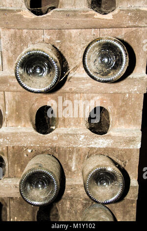 Bottiglie di vino in una cantina, tufo, Avellino, Campania, Italia Foto Stock