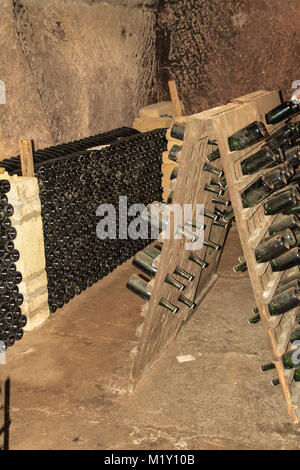 Bottiglie di vino in una cantina, tufo, Avellino, Campania, Italia Foto Stock